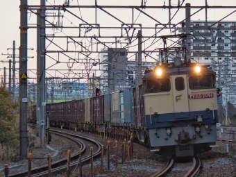 JR貨物 国鉄EF65形電気機関車 EF65-2091 鉄道フォト・写真 by FM-805Dさん 新大阪駅 (JR)：2022年12月18日16時ごろ