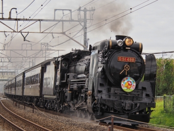 JR東日本 D51形 SLぐんま よこかわ(快速) D51 498 鉄道フォト・写真 by FM-805Dさん 北高崎駅：2021年06月20日09時ごろ