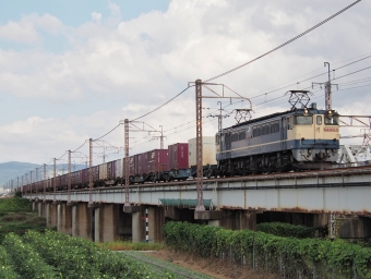 JR貨物 国鉄EF65形電気機関車 EF65-2068 鉄道フォト・写真 by FM-805Dさん 桂川駅 (京都府)：2021年10月07日13時ごろ