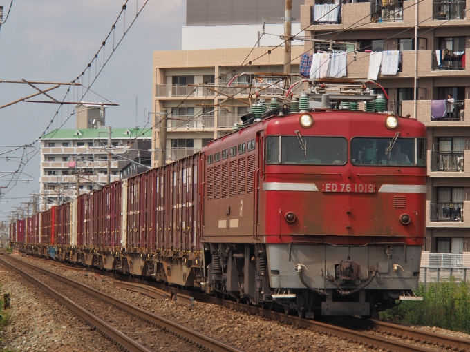 鉄道フォト・写真：JR貨物 国鉄ED76形電気機関車 ED76-1019 天拝山駅 鉄道フォト・写真 by FM-805Dさん - 撮影日 2021/09/26 12:55