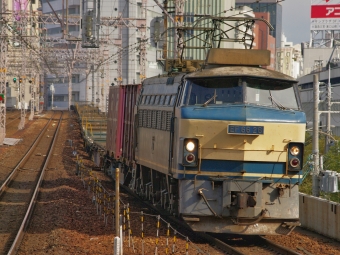 JR貨物 国鉄EF66形電気機関車 EF66-26 鉄道フォト・写真 by FM-805Dさん 元町駅 (兵庫県|JR)：2016年01月16日11時ごろ