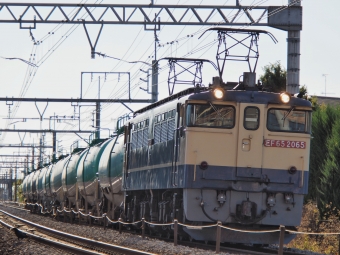 JR貨物 国鉄EF65形電気機関車 EF65-2065 鉄道フォト・写真 by FM-805Dさん 本庄駅：2021年11月27日08時ごろ