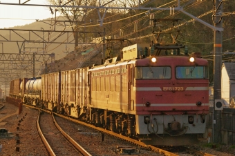 JR貨物 国鉄EF81形電気機関車 EF81-723 鉄道フォト・写真 by FM-805Dさん 山科駅 (JR)：2015年12月26日15時ごろ
