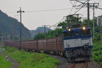 JR貨物 国鉄EF64形電気機関車 EF64-1020 鉄道フォト・写真 by FM-805Dさん 清音駅 (JR)：2015年08月29日16時ごろ