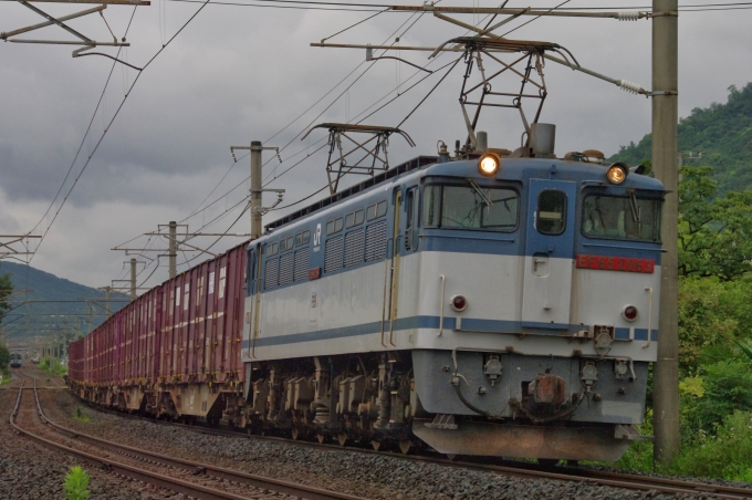 JR貨物 国鉄EF65形電気機関車 EF65-2063 鉄道フォト・写真 by FM-805Dさん 八十場駅：2015年08月30日08時ごろ