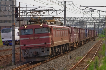 JR貨物 国鉄EF81形電気機関車 EF81-726 鉄道フォト・写真 by FM-805Dさん 茨木駅：2015年09月12日14時ごろ