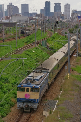 JR西日本 国鉄EF65形電気機関車 特別なトワイライトエクスプレス EF65-1132 鉄道フォト・写真 by FM-805Dさん 加島駅：2015年09月19日10時ごろ