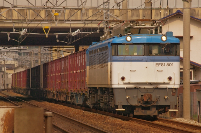 JR貨物 国鉄EF81形電気機関車 EF81-501 鉄道フォト・写真 by FM-805Dさん 貝塚駅 (福岡県|西鉄)：2015年01月11日12時ごろ
