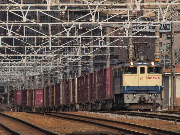 鉄道フォト・写真：JR貨物 国鉄EF65形電気機関車 EF65-2083 島本駅 鉄道フォト・写真 by FM-805Dさん - 撮影日 2023/01/22 14:04