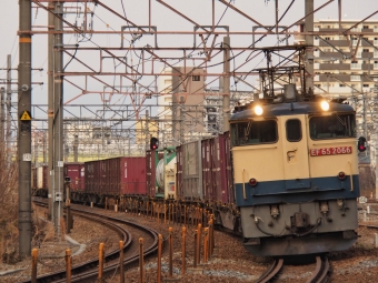 JR貨物 国鉄EF65形電気機関車 EF65-2066 鉄道フォト・写真 by FM-805Dさん 新大阪駅 (JR)：2023年01月22日16時ごろ