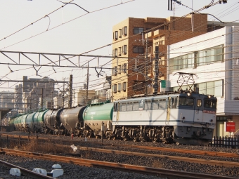 JR貨物 国鉄EF65形電気機関車 EF65-2085 鉄道フォト・写真 by FM-805Dさん 宮原駅：2021年02月13日07時ごろ