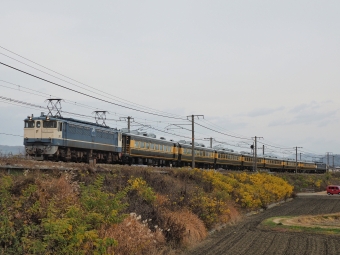 JR西日本 国鉄EF65形電気機関車 サロンカーなにわ EF65-1134・EF65-1135 鉄道フォト・写真 by FM-805Dさん 庭瀬駅：2020年12月13日11時ごろ