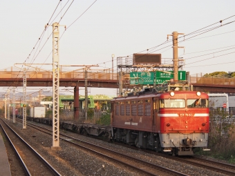 JR貨物 国鉄ED76形電気機関車 ED76-83 鉄道フォト・写真 by FM-805Dさん 九州工大前駅：2021年04月11日06時ごろ