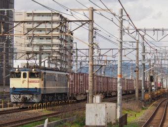 JR貨物 国鉄EF65形電気機関車 EF65-2096 鉄道フォト・写真 by FM-805Dさん 千里丘駅：2021年04月18日15時ごろ
