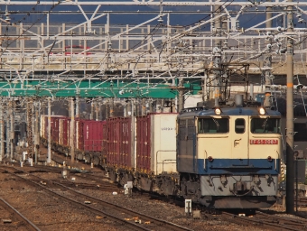 JR貨物 国鉄EF65形電気機関車 EF65-2087 鉄道フォト・写真 by FM-805Dさん 向日町駅：2023年02月05日13時ごろ