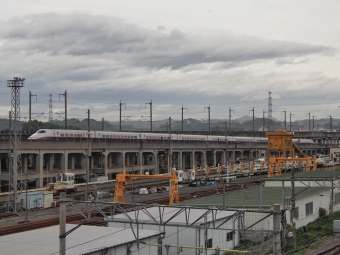 JR東日本 E2系新幹線電車 鉄道フォト・写真 by FM-805Dさん 岩切駅：2021年05月17日12時ごろ
