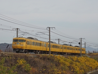 クハ116-103 鉄道フォト・写真