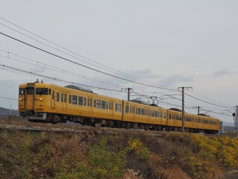 クハ111-565 鉄道フォト・写真