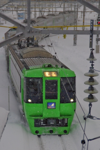JR北海道785系電車 スーパー白鳥(特急) 鉄道フォト・写真 by FM-805Dさん 青森駅 (JR)：2012年01月05日15時ごろ