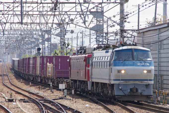 JR貨物 国鉄EF66形電気機関車 EF66-116 鉄道フォト・写真 by FM-805Dさん 尼崎駅 (JR)：2012年04月21日10時ごろ