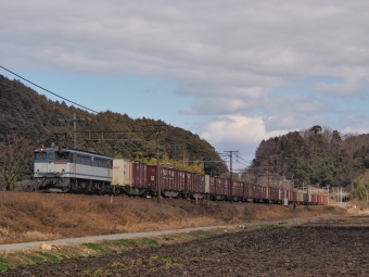 JR貨物 国鉄EF65形電気機関車 EF65-2063 鉄道フォト・写真 by FM-805Dさん 安土駅：2023年02月26日12時ごろ