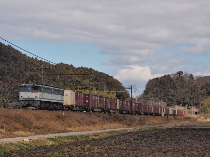 JR貨物 国鉄EF65形電気機関車 EF65-2063 鉄道フォト・写真 by FM-805Dさん 安土駅：2023年02月26日12時ごろ