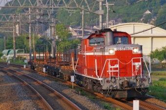 JR西日本 国鉄DD51形ディーゼル機関車 DD51-1183 鉄道フォト・写真 by FM-805Dさん 島本駅：2012年05月19日05時ごろ