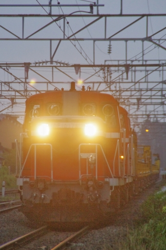 JR東日本 国鉄DE10形ディーゼル機関車 DE10-1761 鉄道フォト・写真 by FM-805Dさん 青森駅 (JR)：2012年08月13日05時ごろ