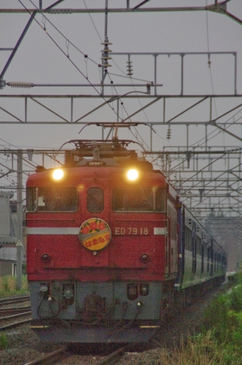 JR北海道 国鉄ED79形電気機関車 はまなす(急行) ED79-18 鉄道フォト・写真 by FM-805Dさん 青森駅 (JR)：2012年08月13日05時ごろ