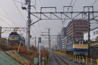 JR西日本 国鉄EF65形電気機関車 EF65-1135 鉄道フォト・写真 by FM-805Dさん 千里丘駅：2012年11月06日09時ごろ