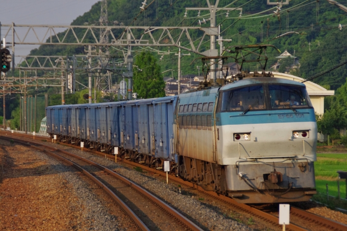 JR貨物 国鉄EF66形電気機関車 EF66-101 鉄道フォト・写真 by FM-805Dさん 島本駅：2011年06月30日06時ごろ