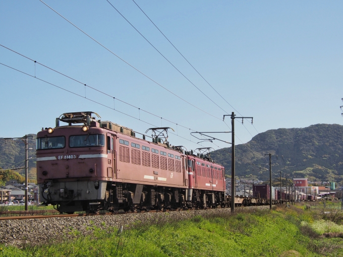 JR貨物 国鉄EF81形電気機関車 EF81-403 鉄道フォト・写真 by FM-805Dさん 赤間駅：2023年04月08日09時ごろ