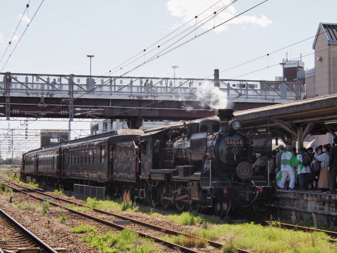 JR九州 国鉄8620形蒸気機関車 SL人吉 58654 鳥栖駅 鉄道フォト・写真