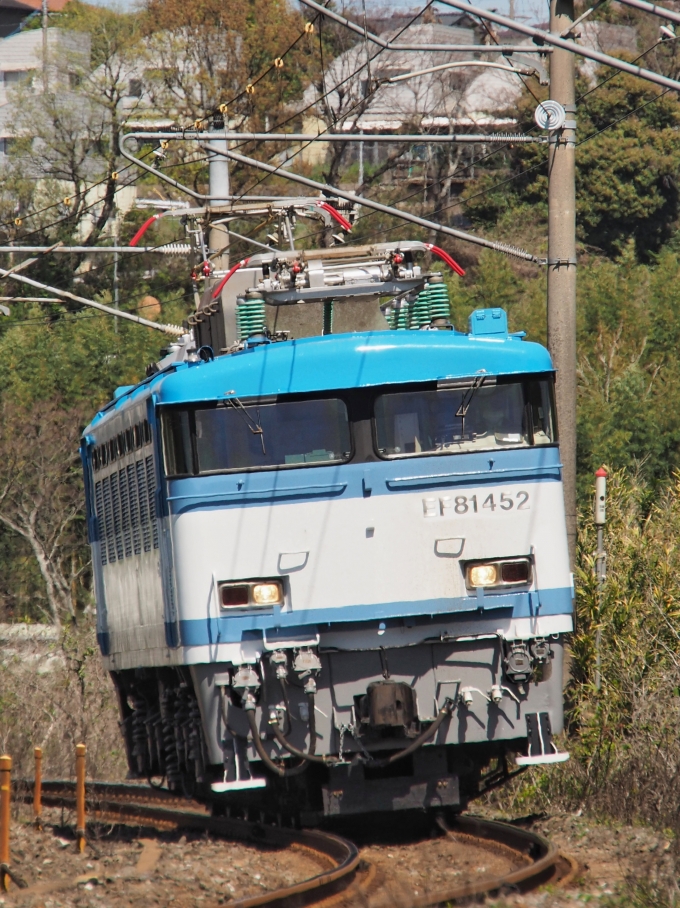JR貨物 国鉄EF81形電気機関車 EF81-452 鉄道フォト・写真 by FM-805Dさん 植木駅：2023年04月09日10時ごろ