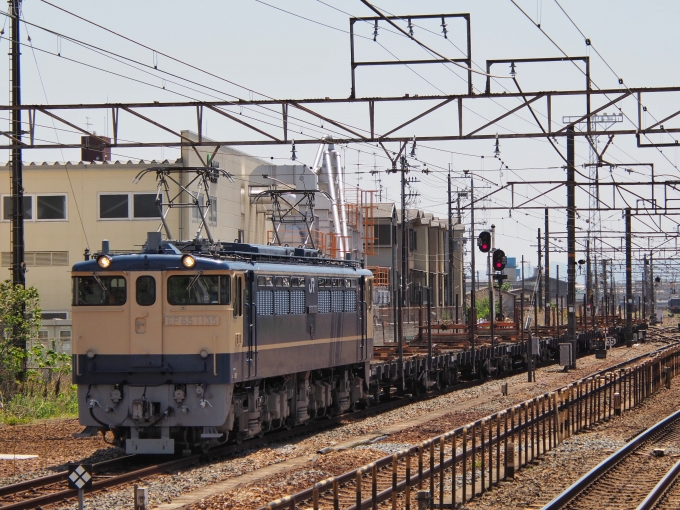 鉄道フォト・写真：JR西日本 国鉄EF65形電気機関車 梅小路配給 EF65-1135 向日町駅 鉄道フォト・写真 by FM-805Dさん - 撮影日 2023/04/22 12:15