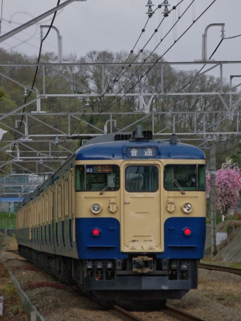 JR東日本 クハ115形 クハ115-356 鉄道フォト・写真 by FM-805Dさん ：2013年04月06日12時ごろ