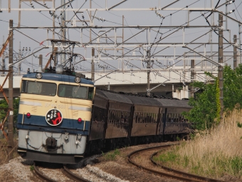 JR東日本 国鉄EF65形電気機関車 SLレトロぐんま横川 EF65-501 鉄道フォト・写真 by FM-805Dさん 安中駅：2023年05月03日14時ごろ