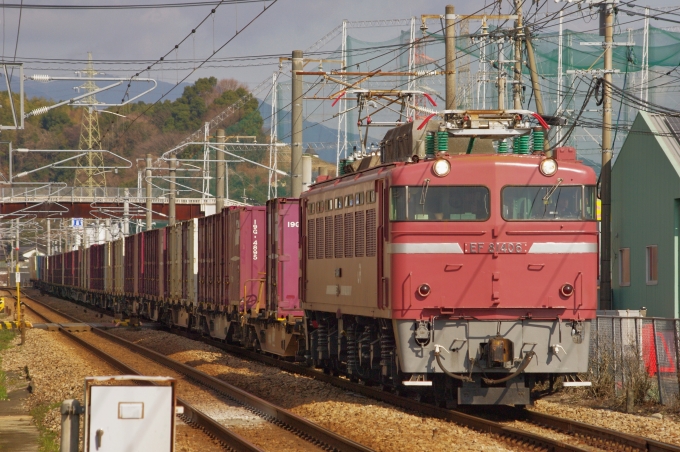 JR貨物 国鉄EF81形電気機関車 EF81-406 鉄道フォト・写真 by FM-805Dさん 基山駅 (JR)：2019年01月20日12時ごろ