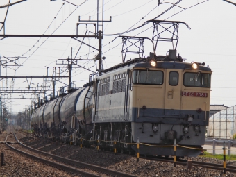 JR貨物 国鉄EF65形電気機関車 EF65-2083 鉄道フォト・写真 by FM-805Dさん 間々田駅：2023年05月05日14時ごろ