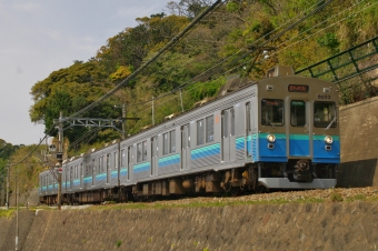 伊豆急8000系 鉄道フォト・写真