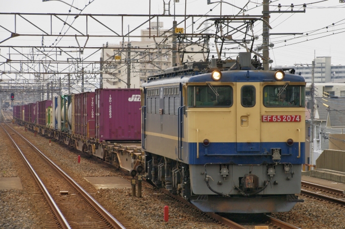 JR貨物 国鉄EF65形電気機関車 EF65-2074 鉄道フォト・写真 by FM-805Dさん 南流山駅 (JR)：2019年08月10日10時ごろ