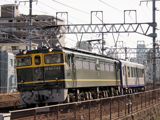 JR西日本 国鉄EF65形電気機関車 EF65-1124 鉄道フォト・写真 by FM-805Dさん 摂津本山駅：2023年05月20日16時ごろ