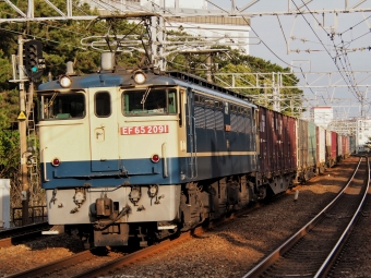 JR貨物 国鉄EF65形電気機関車 EF65-2091 鉄道フォト・写真 by FM-805Dさん 舞子駅：2023年05月20日17時ごろ