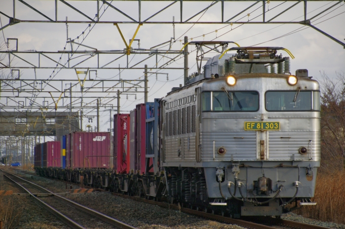 JR貨物 国鉄EF81形電気機関車 EF81-303 鉄道フォト・写真 by FM-805Dさん 南瀬高駅：2021年01月17日09時ごろ