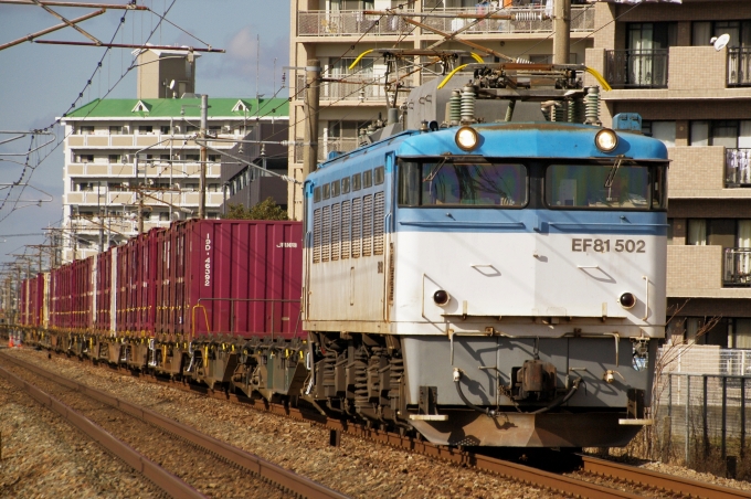 JR貨物 国鉄EF81形電気機関車 EF81-502 鉄道フォト・写真 by FM-805Dさん 天拝山駅：2021年01月17日13時ごろ