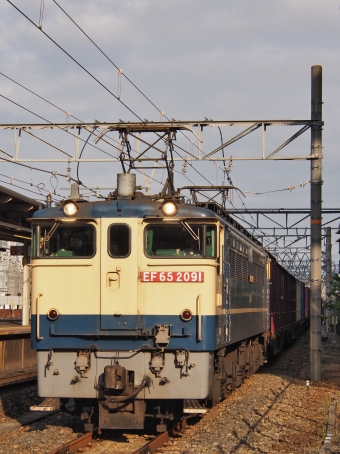 JR貨物 国鉄EF65形電気機関車 EF65-2091 鉄道フォト・写真 by FM-805Dさん 尼崎駅 (JR)：2023年05月21日06時ごろ