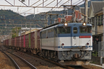 JR貨物 国鉄EF65形電気機関車 EF65-2063 鉄道フォト・写真 by FM-805Dさん 山科駅 (JR)：2015年10月31日12時ごろ