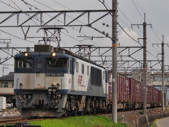 JR貨物 国鉄EF64形電気機関車 EF64-1017 鉄道フォト・写真 by FM-805Dさん 清音駅 (JR)：2023年05月27日09時ごろ