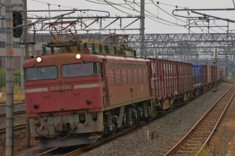 JR貨物 国鉄EF81形電気機関車 EF81-729 鉄道フォト・写真 by FM-805Dさん 茨木駅：2015年11月07日14時ごろ