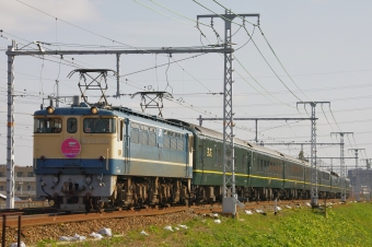 JR西日本 国鉄EF65形電気機関車 特別なトワイライトエクスプレス EF65-1135 鉄道フォト・写真 by FM-805Dさん 甲子園口駅：2015年11月21日10時ごろ